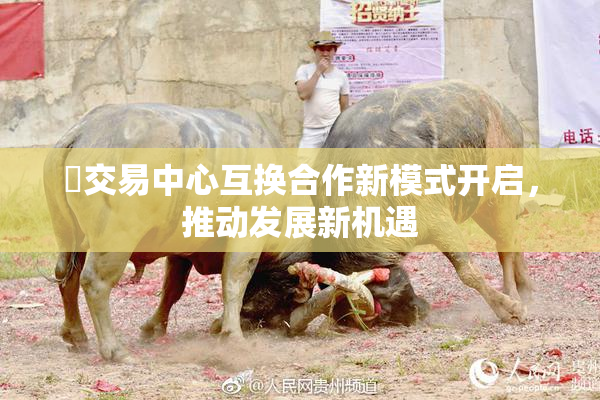 巜交易中心互换合作新模式开启，推动发展新机遇