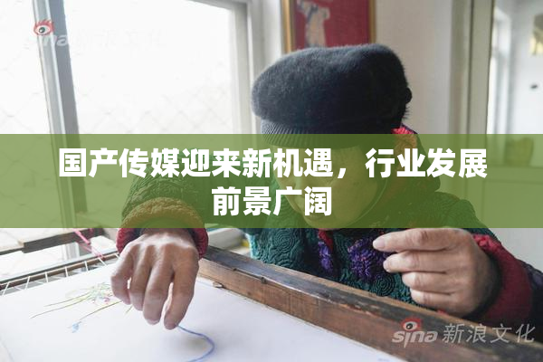 国产传媒迎来新机遇，行业发展前景广阔
