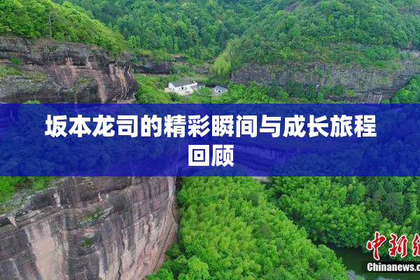 坂本龙司的精彩瞬间与成长旅程回顾