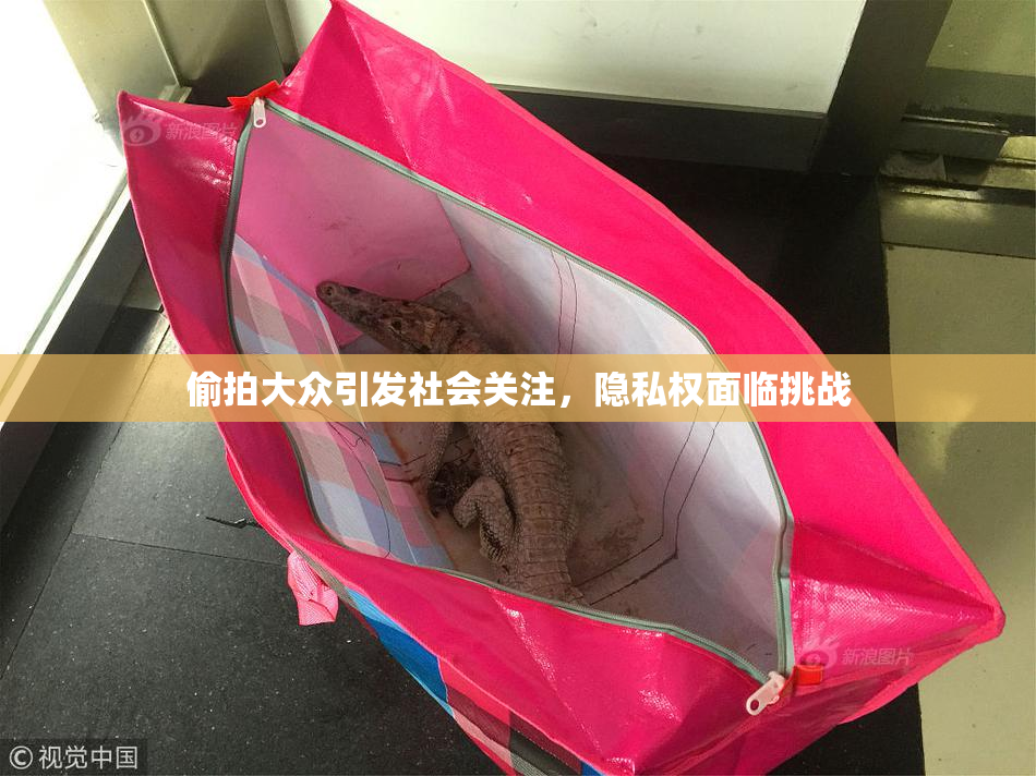 偷拍大众引发社会关注，隐私权面临挑战