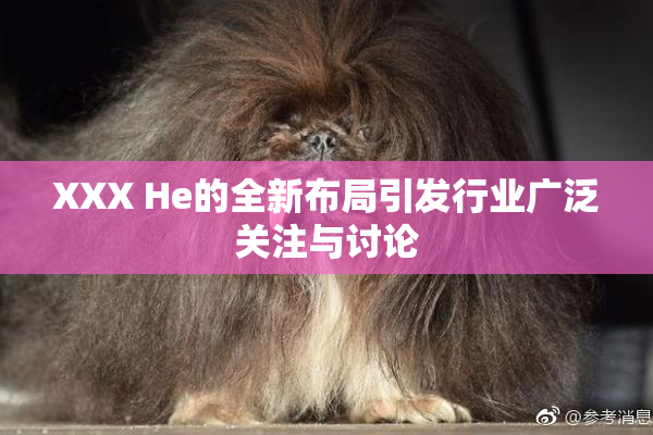 XXX He的全新布局引发行业广泛关注与讨论