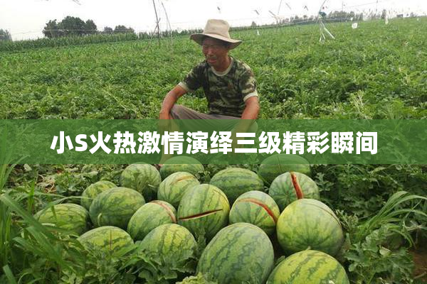 小S火热激情演绎三级精彩瞬间