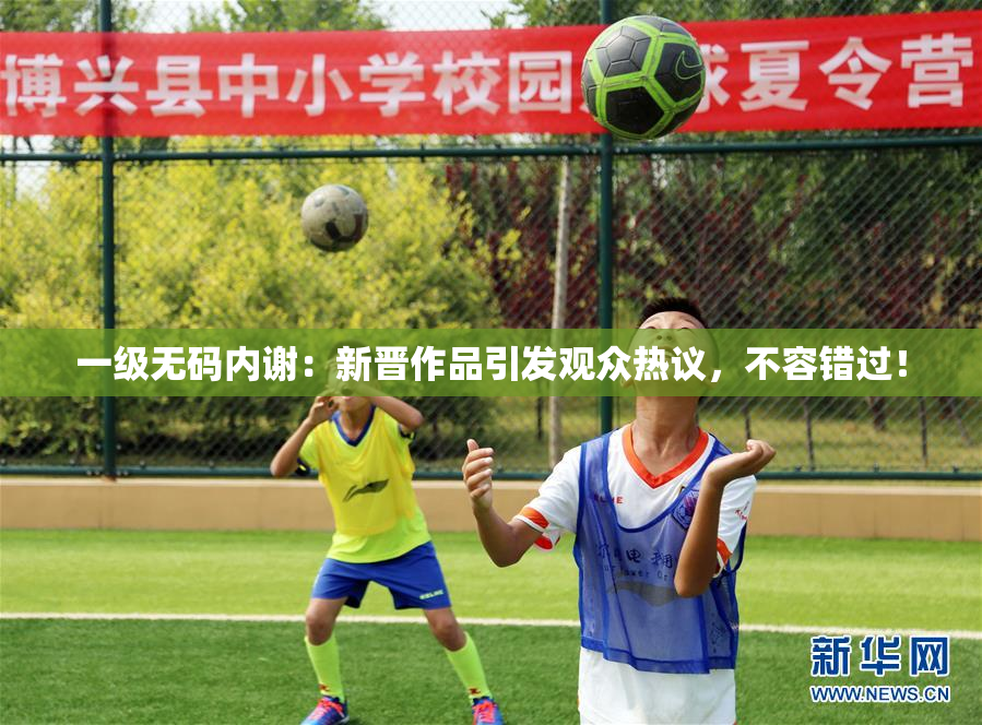 一级无码内谢：新晋作品引发观众热议，不容错过！