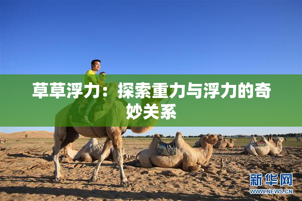 草草浮力：探索重力与浮力的奇妙关系