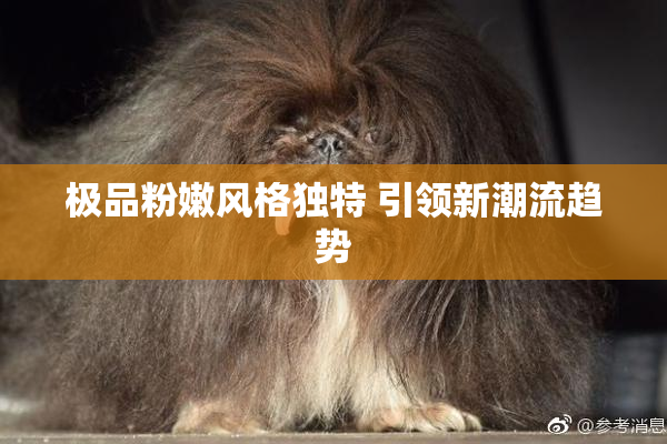 极品粉嫩风格独特 引领新潮流趋势