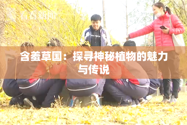 含羞草国：探寻神秘植物的魅力与传说