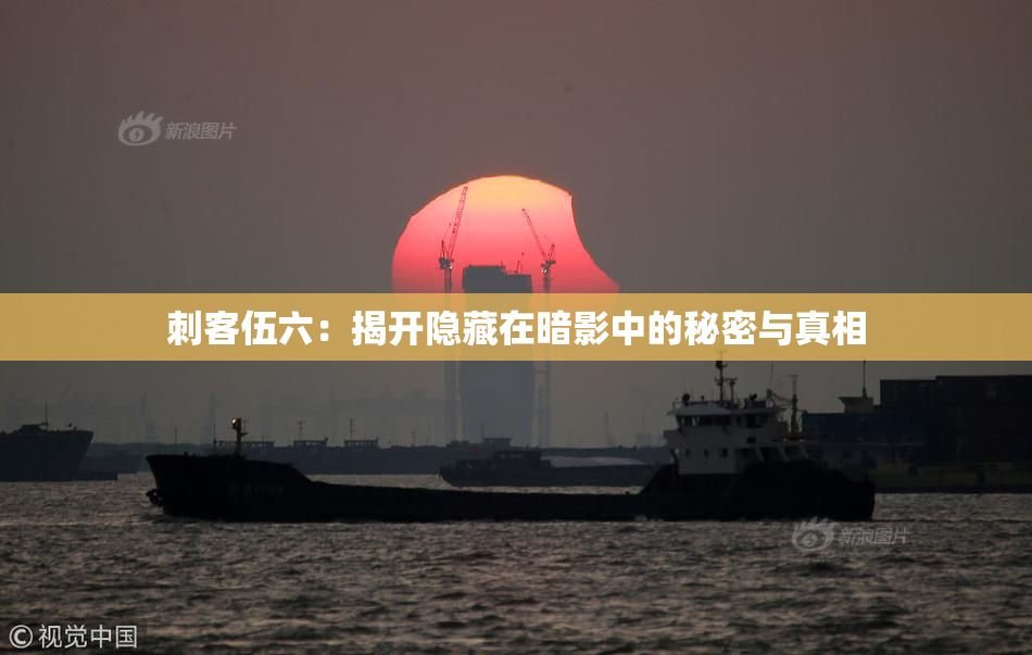 刺客伍六：揭开隐藏在暗影中的秘密与真相