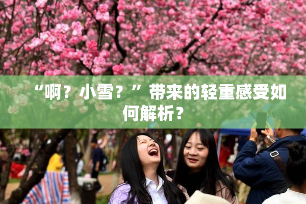 “啊？小雪？”带来的轻重感受如何解析？