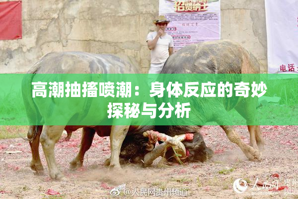 高潮抽搐喷潮：身体反应的奇妙探秘与分析