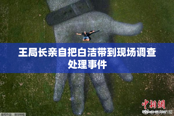 王局长亲自把白洁带到现场调查处理事件