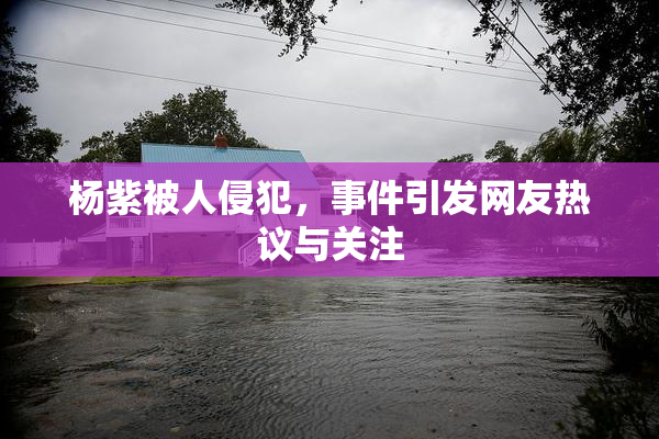 杨紫被人侵犯，事件引发网友热议与关注