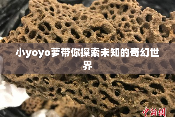 小yoyo萝带你探索未知的奇幻世界