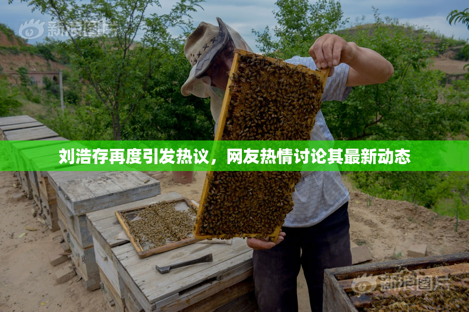刘浩存再度引发热议，网友热情讨论其最新动态