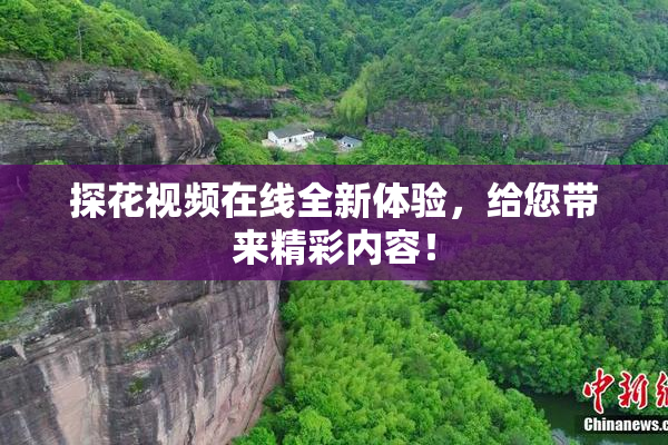 探花视频在线全新体验，给您带来精彩内容！
