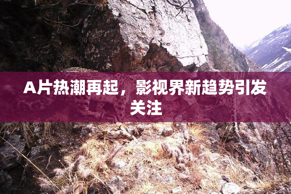 A片热潮再起，影视界新趋势引发关注