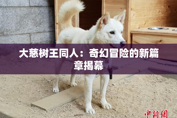 大慈树王同人：奇幻冒险的新篇章揭幕