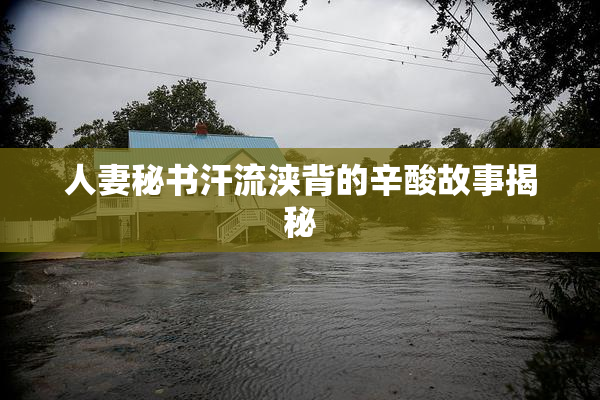 人妻秘书汗流浃背的辛酸故事揭秘
