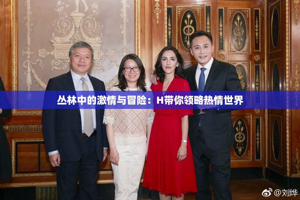 丛林中的激情与冒险：H带你领略热情世界