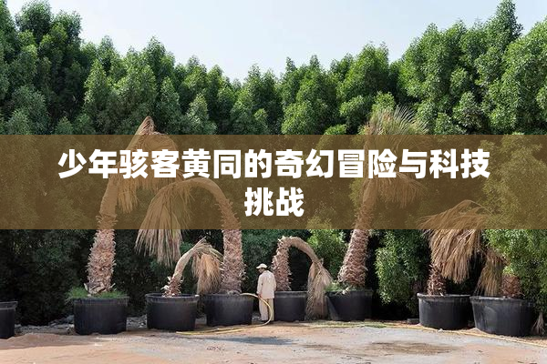 少年骇客黄同的奇幻冒险与科技挑战