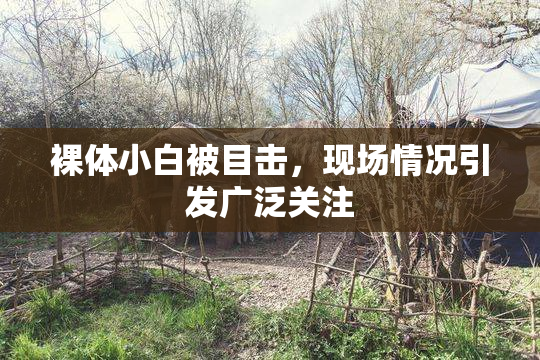 裸体小白被目击，现场情况引发广泛关注