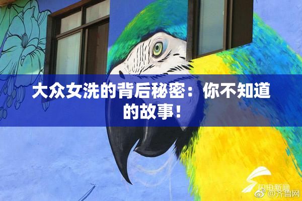大众女洗的背后秘密：你不知道的故事！
