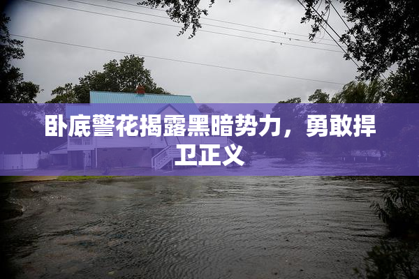 卧底警花揭露黑暗势力，勇敢捍卫正义