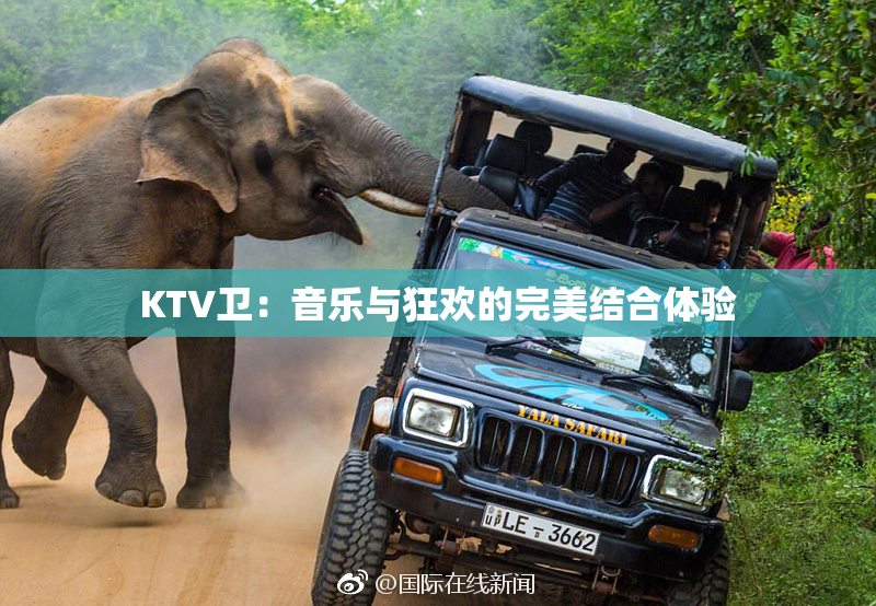 KTV卫：音乐与狂欢的完美结合体验
