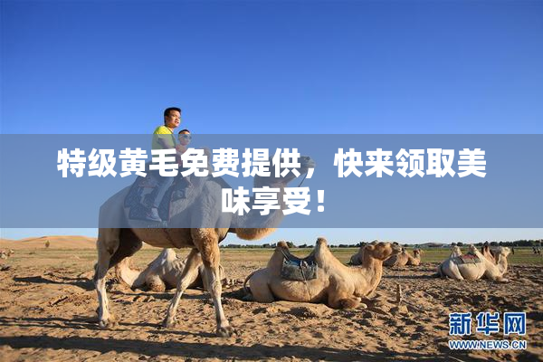 特级黄毛免费提供，快来领取美味享受！