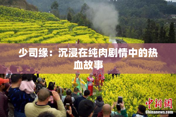 少司缘：沉浸在纯肉剧情中的热血故事