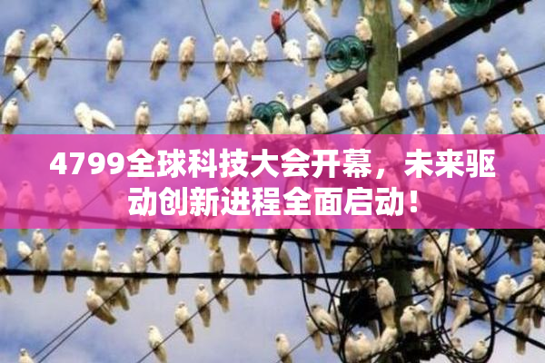 4799全球科技大会开幕，未来驱动创新进程全面启动！