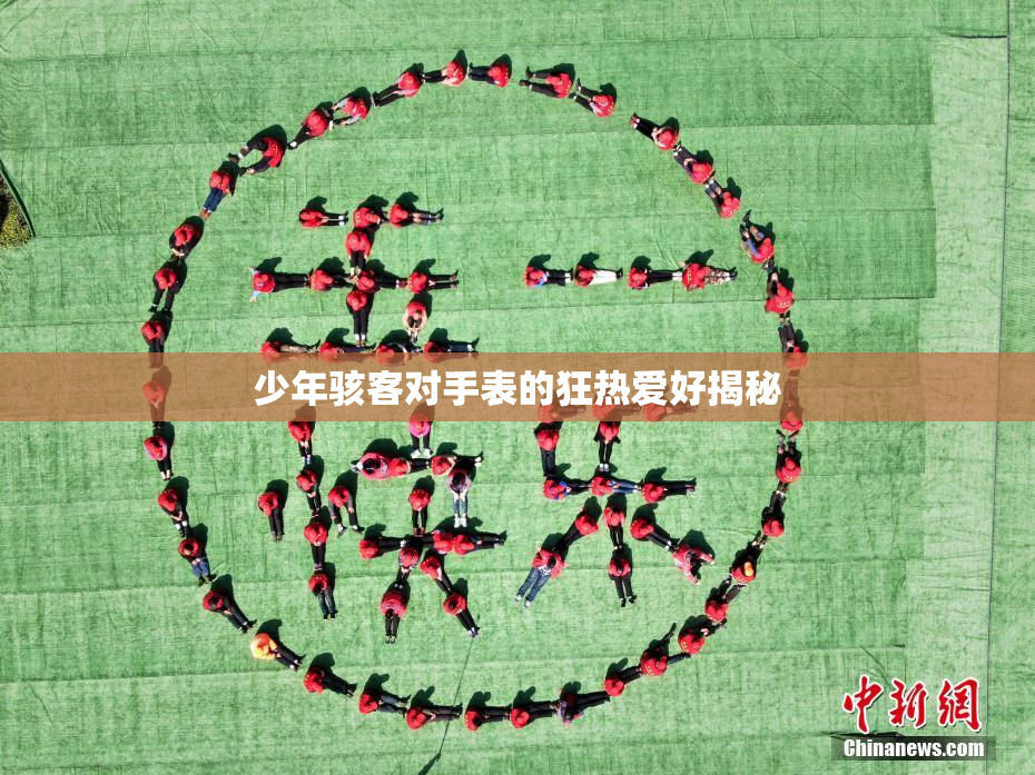 少年骇客对手表的狂热爱好揭秘