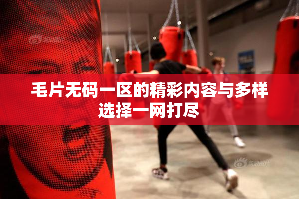 毛片无码一区的精彩内容与多样选择一网打尽
