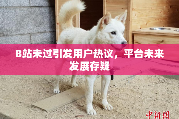 B站未过引发用户热议，平台未来发展存疑