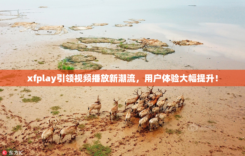 xfplay引领视频播放新潮流，用户体验大幅提升！