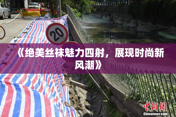 《绝美丝袜魅力四射，展现时尚新风潮》