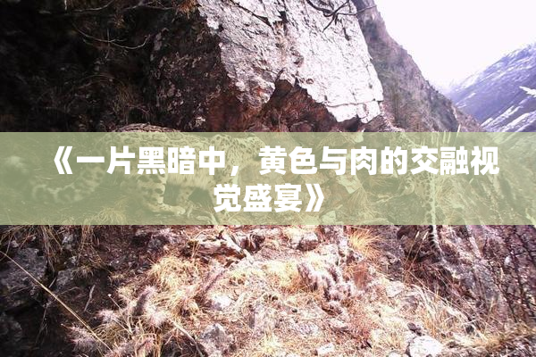 《一片黑暗中，黄色与肉的交融视觉盛宴》