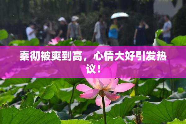 秦彻被爽到高，心情大好引发热议！