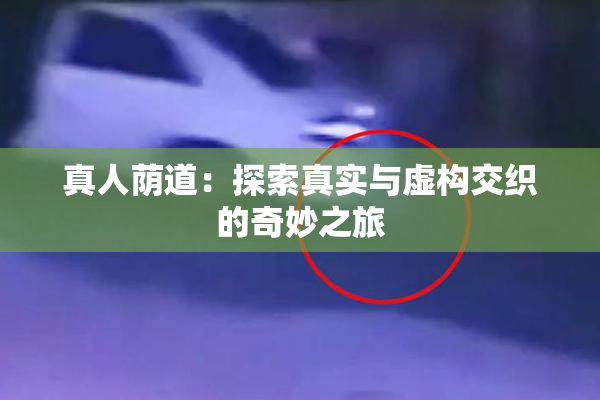 真人荫道：探索真实与虚构交织的奇妙之旅
