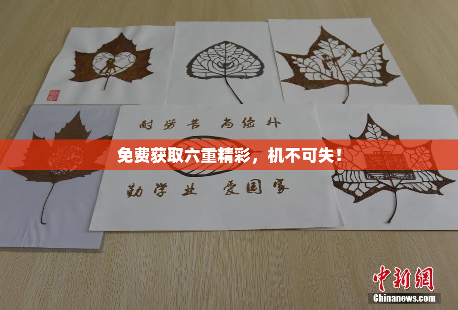 免费获取六重精彩，机不可失！