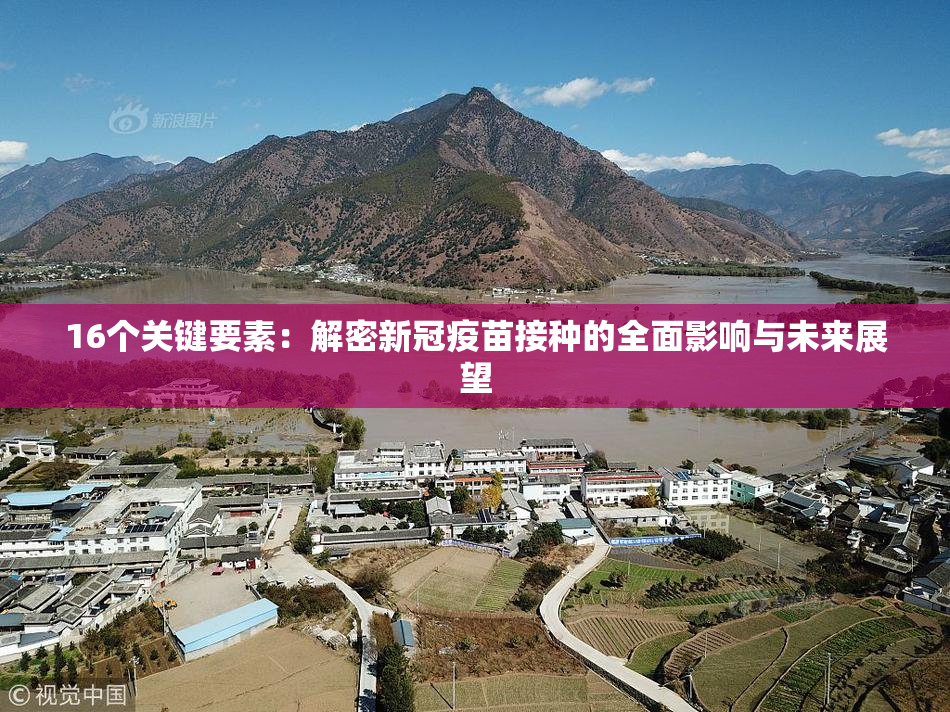 16个关键要素：解密新冠疫苗接种的全面影响与未来展望