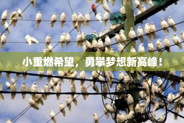 小重燃希望，勇攀梦想新高峰！