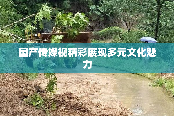 国产传媒视精彩展现多元文化魅力