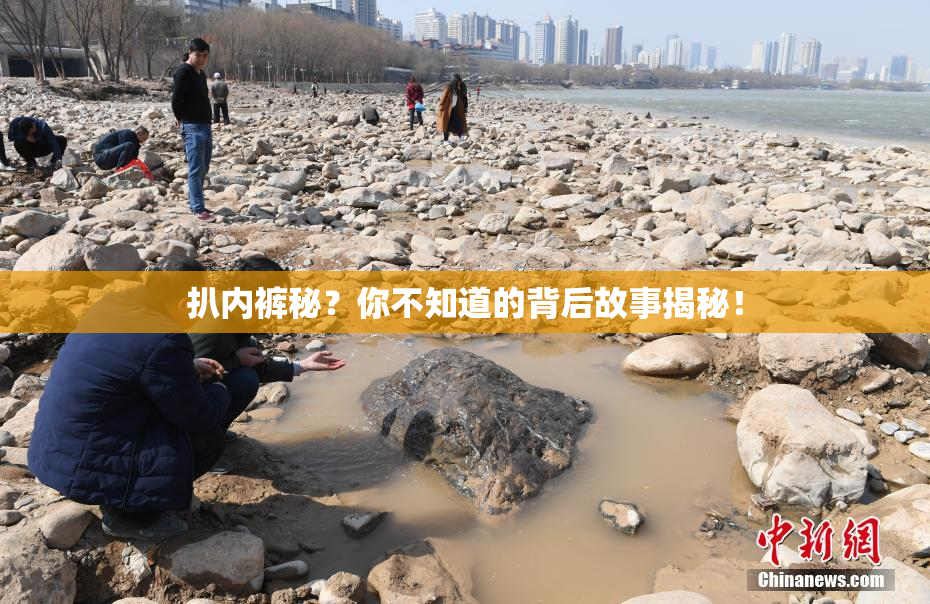 扒内裤秘？你不知道的背后故事揭秘！