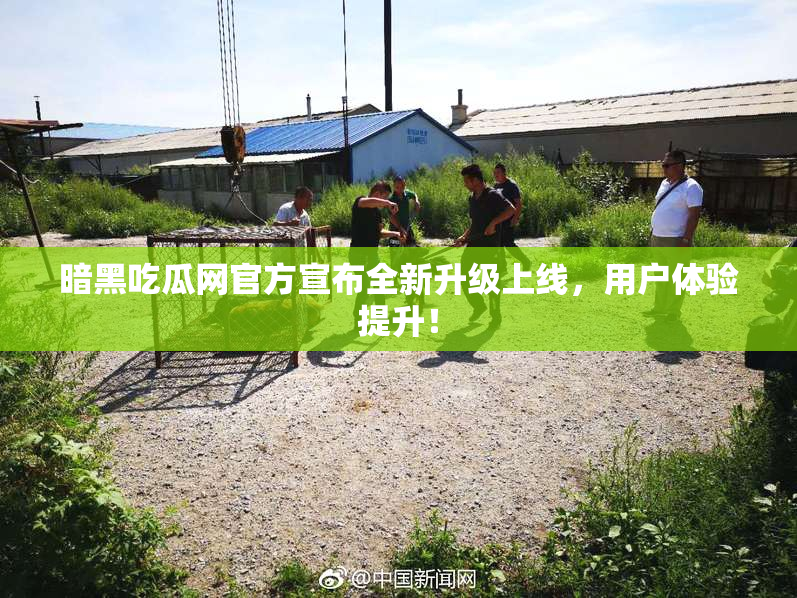 暗黑吃瓜网官方宣布全新升级上线，用户体验提升！