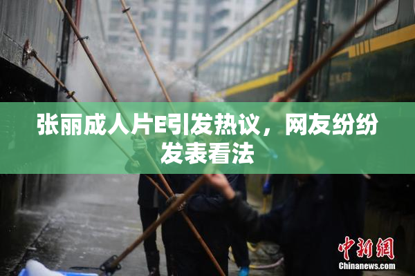 张丽成人片E引发热议，网友纷纷发表看法