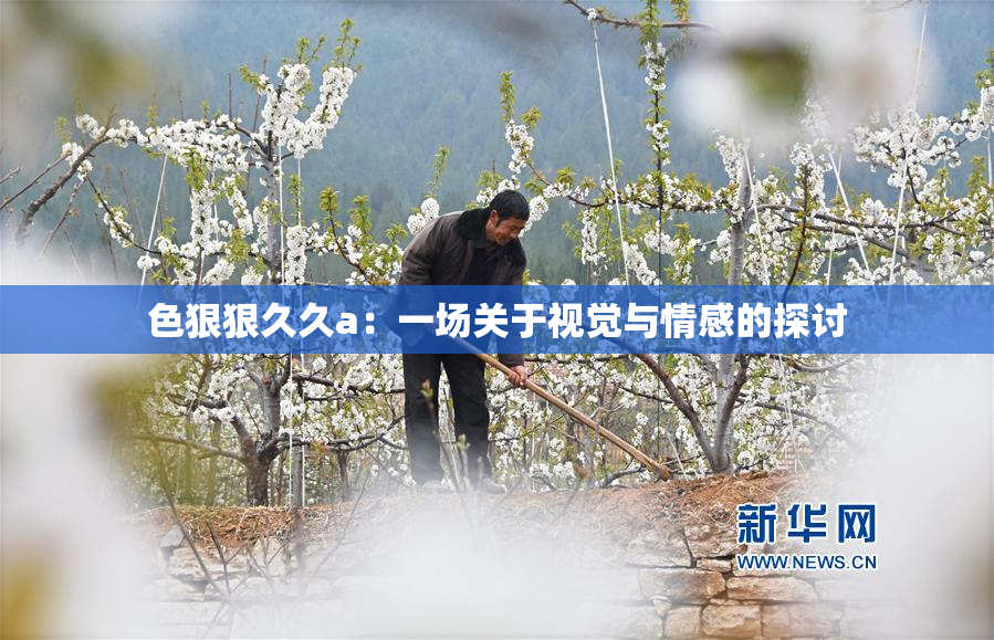 色狠狠久久a：一场关于视觉与情感的探讨