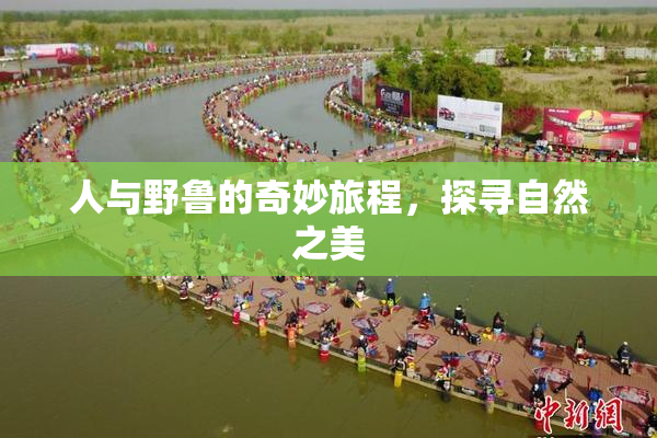 人与野鲁的奇妙旅程，探寻自然之美