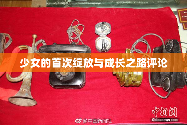 少女的首次绽放与成长之路评论