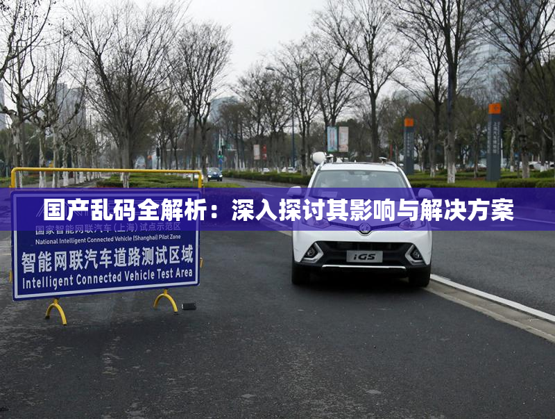 国产乱码全解析：深入探讨其影响与解决方案