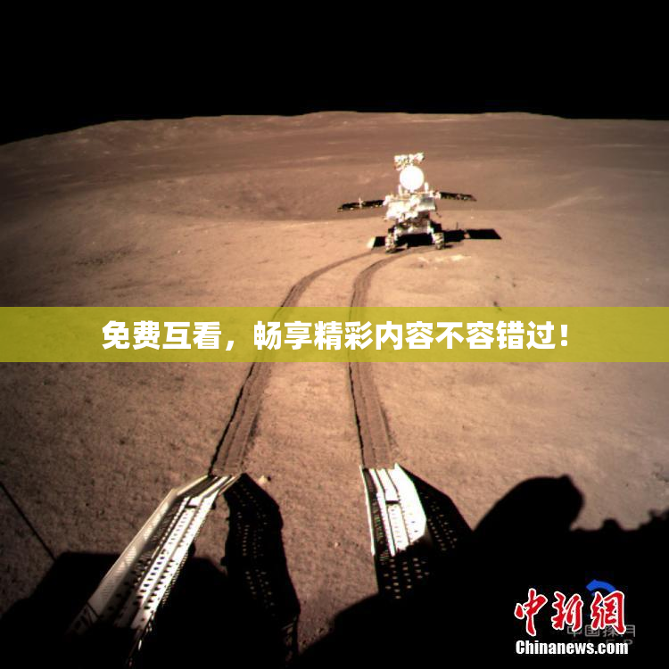免费互看，畅享精彩内容不容错过！